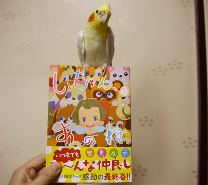 しいちゃん、あのね５巻読みました。銅ちゃん、きれいにタイトル回収ある最終回、だああいすき！このご時世に全百回で美しく見事に円を描いて終わる漫画なかなかないのでは？？　84回「断捨離」はトイストーリー4が上映されている今まさに読むべ… 