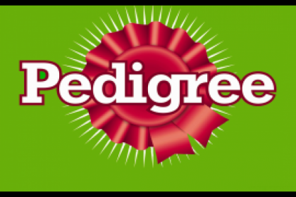 Words & More - parole e altro! tweet media