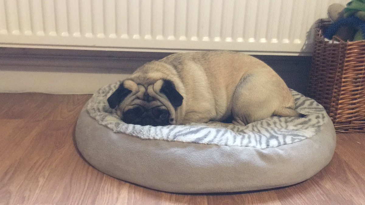 Why does it have to rain when I want I walk?  I hate the rain.  I’m sulking.  Call me when it stops raining or it is time for lunch.