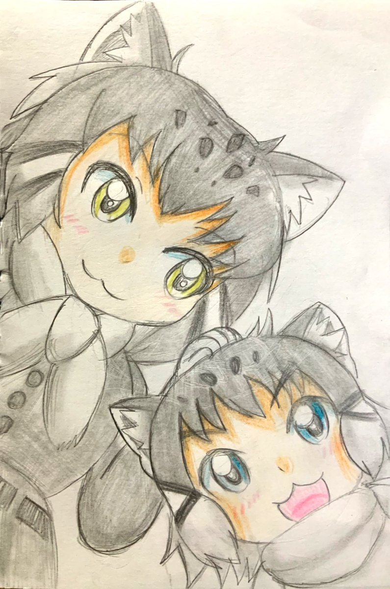 けものフレンズ マヌルネコちゃんとコマヌルちゃん けものフレンズ クワックスのイラスト