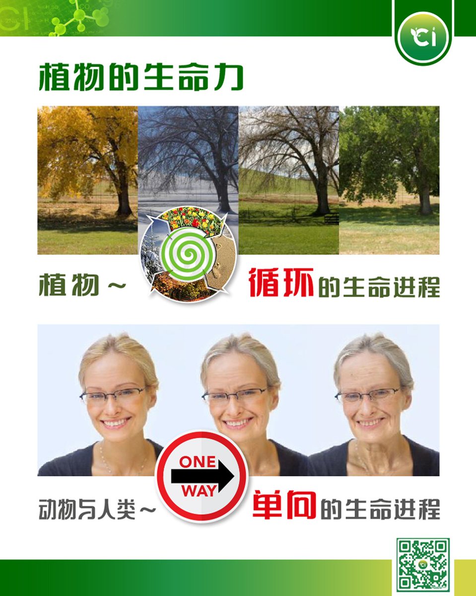 CICecoSystem tweet media