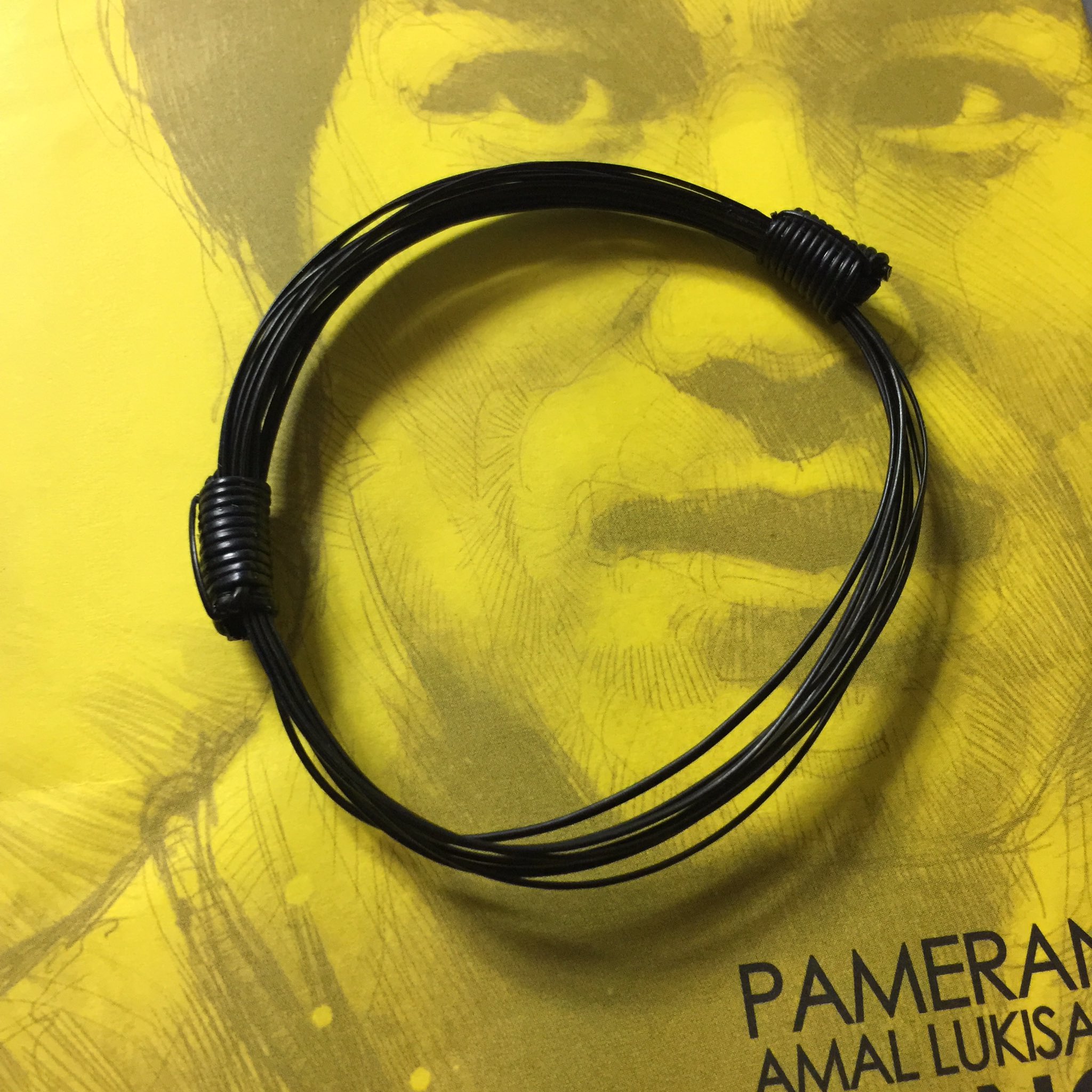 貴重 エレファント ヘアーブレスレット エレファントヘアブレスレット