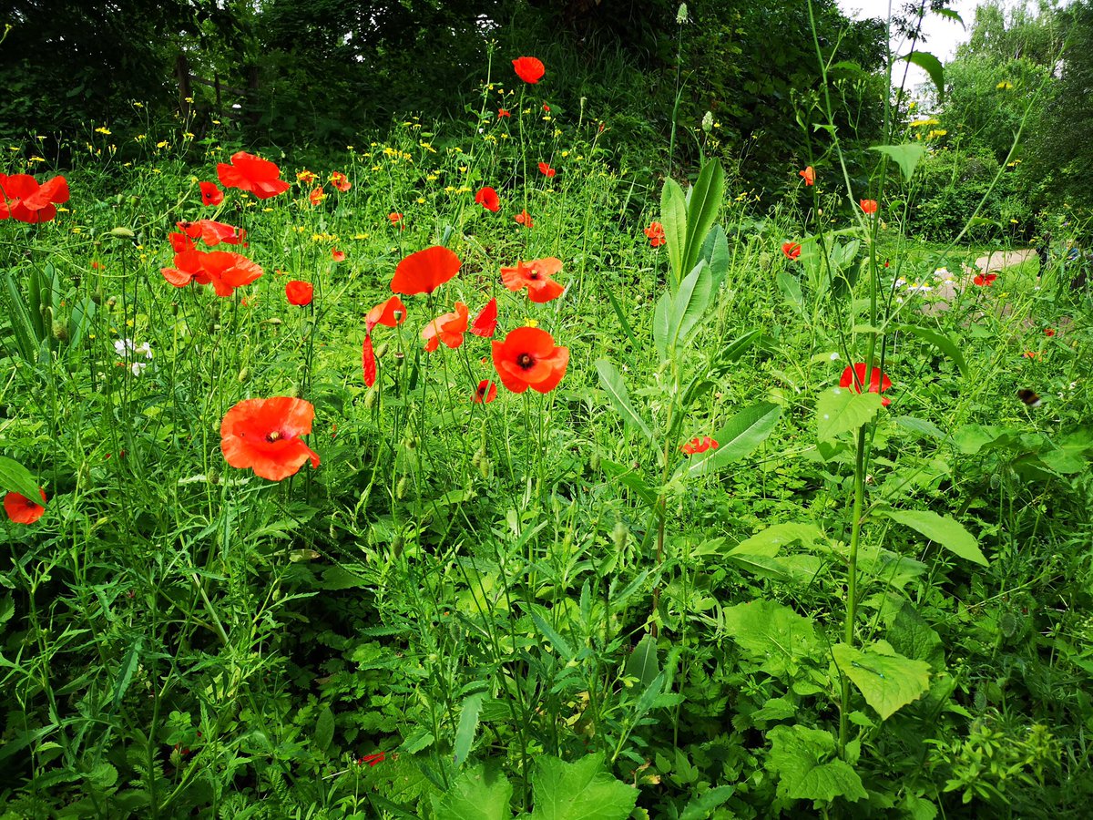 Patrick Bérard tweet media