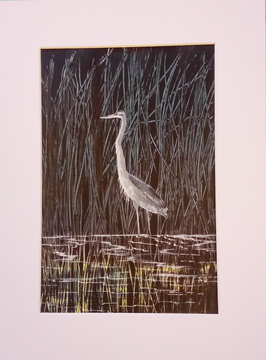 Gary  Hall tweet media