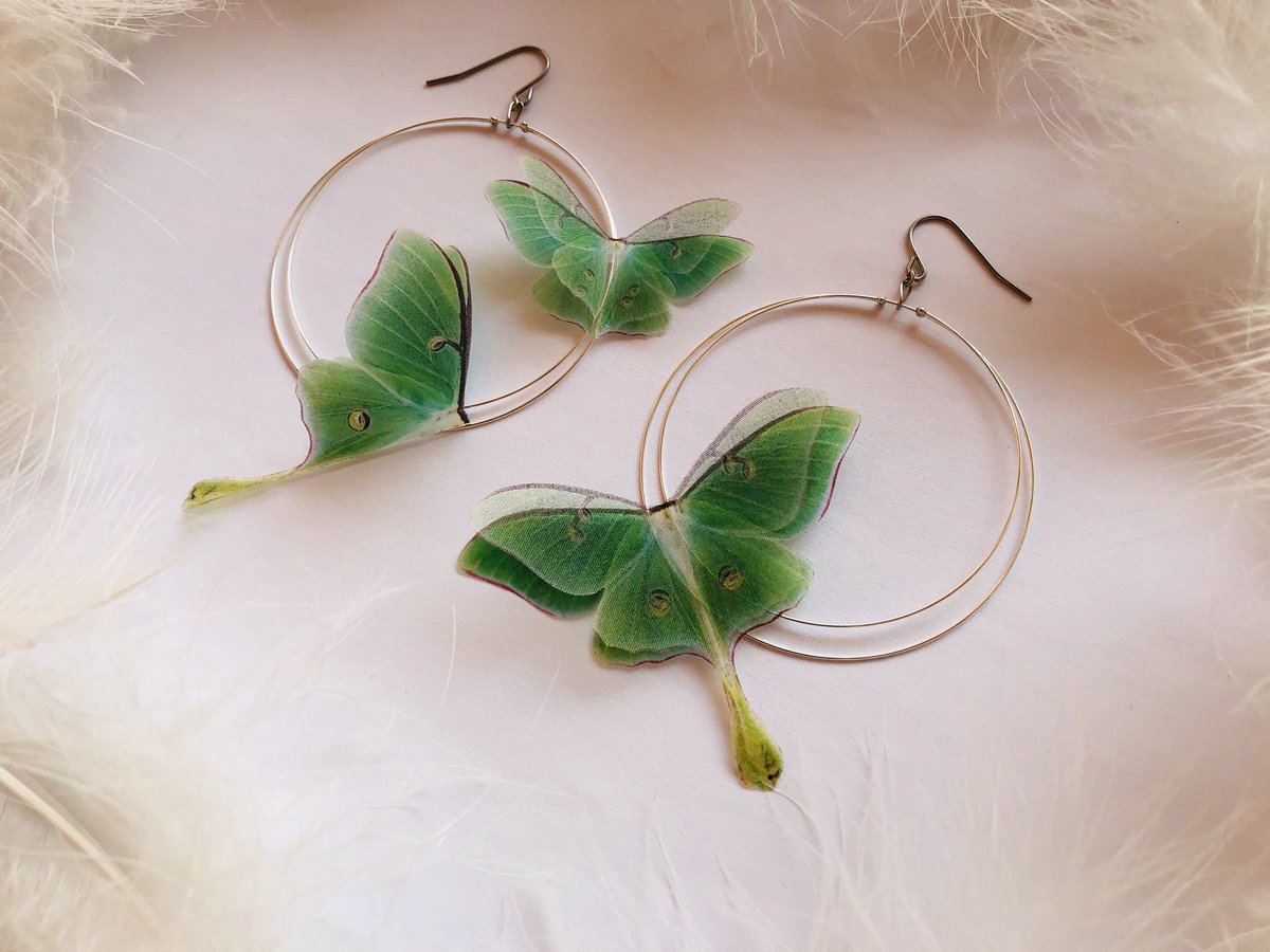 SilkWorkshop's tweet photo. Luna Moth Butterfly Earrings 
Available to order🎁
#silkbutterfly #silkbutterflies #AlinaZadorozhna #АлинаЗадорожная #lunamoth #butterflyearrings #butterflyhairclip #украшенияизбабочек #шелковыебабочки #украшенияизкрыльевбабочек #butterflywingsjewelry #butterflyring https://t.co/FxgVaouR9v