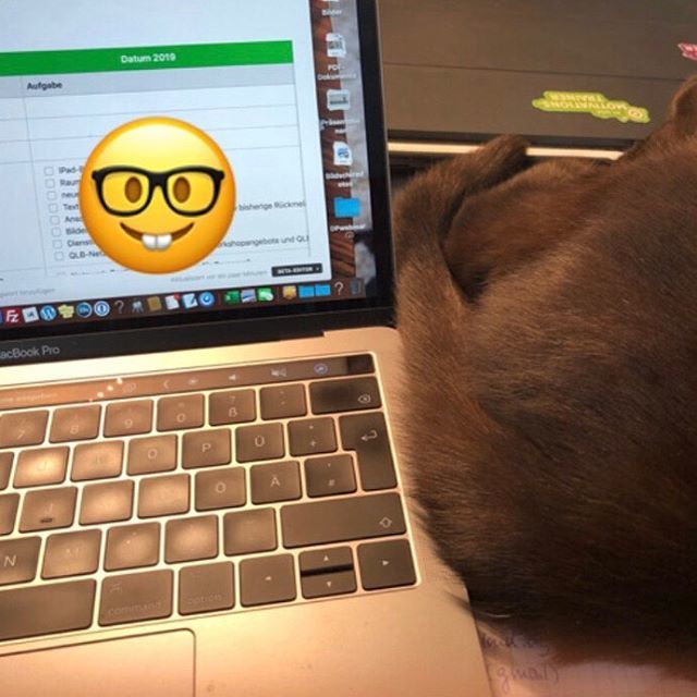 seni_bl's tweet photo. #homeofficetag heißt auch: sich den Schreibtisch mit dem Kater teilen. Wobei - teilen trifft's nicht wirklich. Der macht sich immer breiter.🙈😂
#britishshorthair #catlover #tomcat #instakitten #catcontent https://t.co/aOUedhlP6J https://t.co/JSDGCwNxr1
