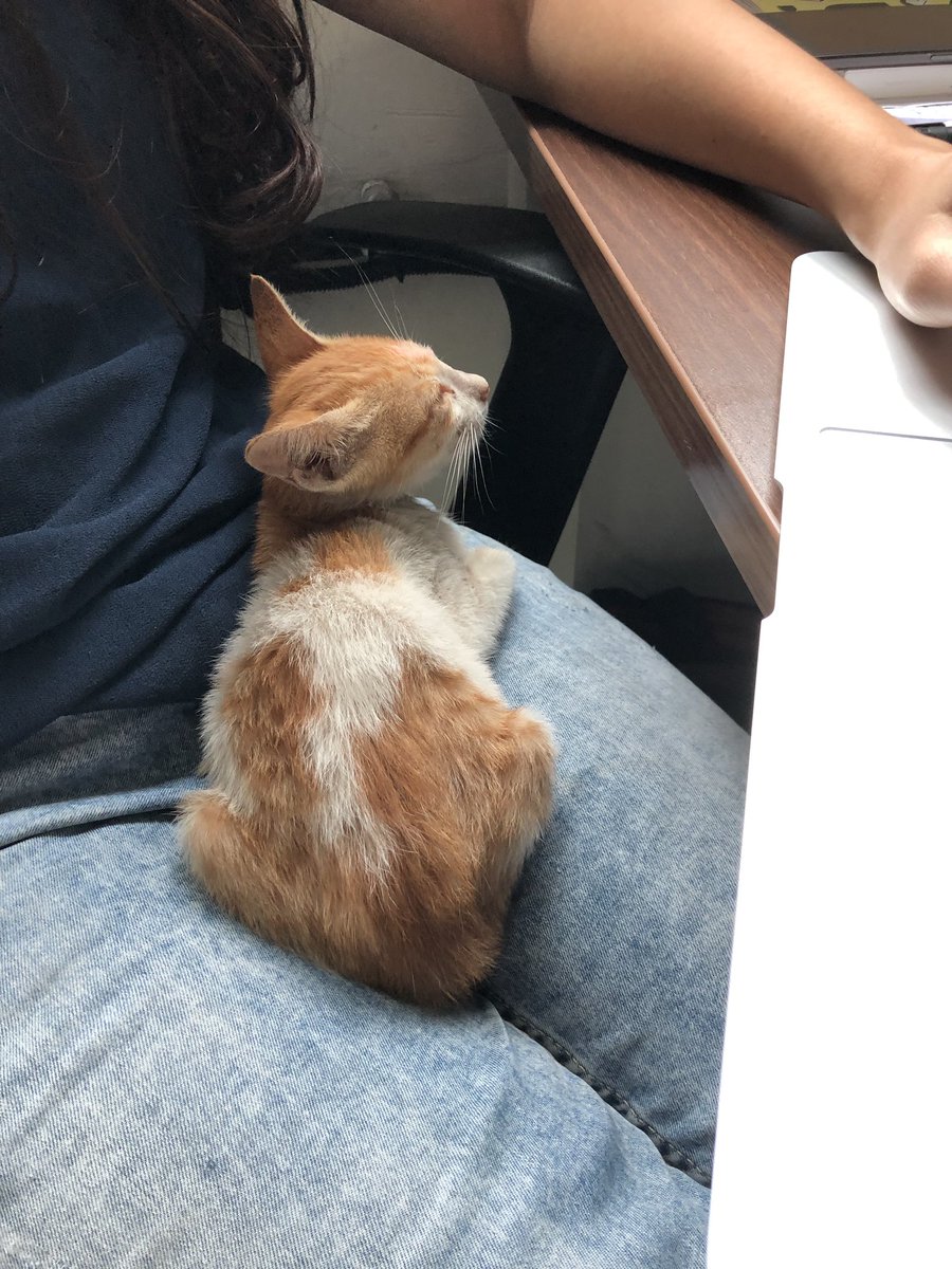 jdkanani's tweet photo. New member in Matic family! https://t.co/HlB2M0acPD