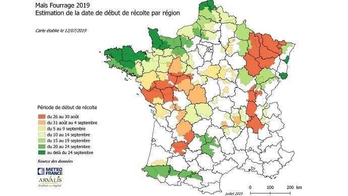 [Maïs fourrage] Des récoltes prévues au 25 août dans les régions les plus en avance dlvr.it/R8hgvg