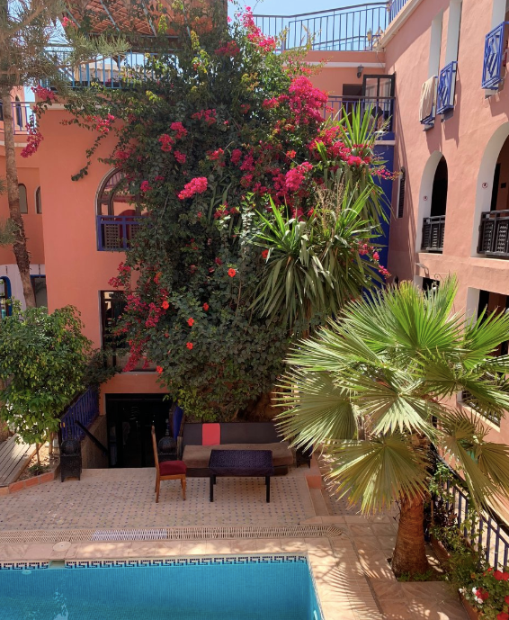 ShakaSurfMoroc's tweet photo. M O R N I N G * V I E W S πΏ
#surfholiday #surfriad #surfschool #surfcamp #blueskies #surfsessions #coloursofmorocco #tamraght https://t.co/bT9M0sOHLB