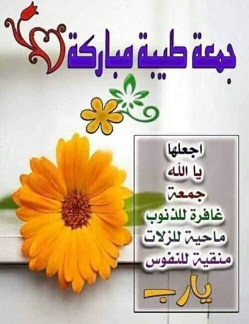 لاترهق نفسك مع اناس اختارو ان يفهموك خطأ.. 
ومايصيبك من سؤ  قل خيرا ...وعندما تفقد شيئا قل من الله العوض...فالحمد لله دائمآ وابدأ.....