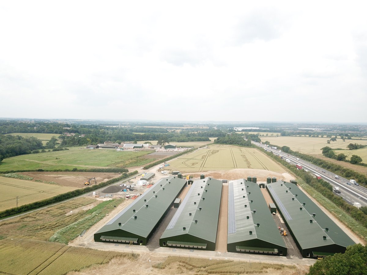 4 broiler houses near completion in Northamptonshire ahead of schedule <a href="/DGMorspan1/">Donald Gillespie</a> <a href="/jfmckennaltd/">JF McKenna Ltd</a> <a href="/connops/">shelleyconnop</a> <a href="/ConnopConcrete/">Connop & Son</a> <a href="/CollinsonAgri/">Collinson Silos 🇬🇧</a> <a href="/bavenhillenviro/">Bavenhill Enviro</a> <a href="/lubinguk/">Lubing UK & Ireland</a>