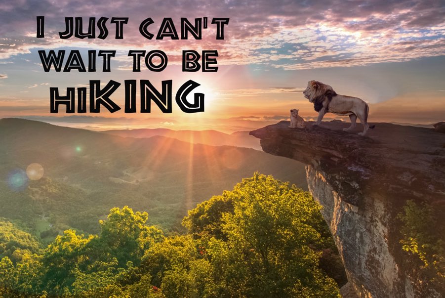 visitvbr's tweet photo. We just heard about a very promising young Trailsetter in Virginia’s Blue Ridge! He seems to already be a big fan of hiking! #lionking #priderock https://t.co/NdWZTtBbUK