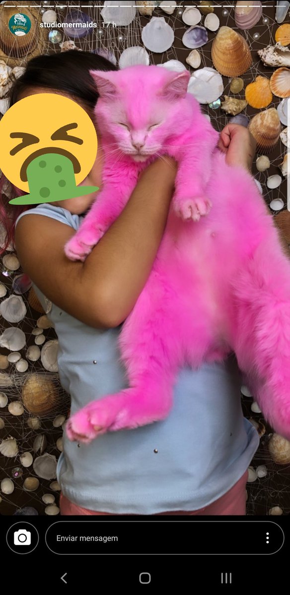 memes estranhos tweet media