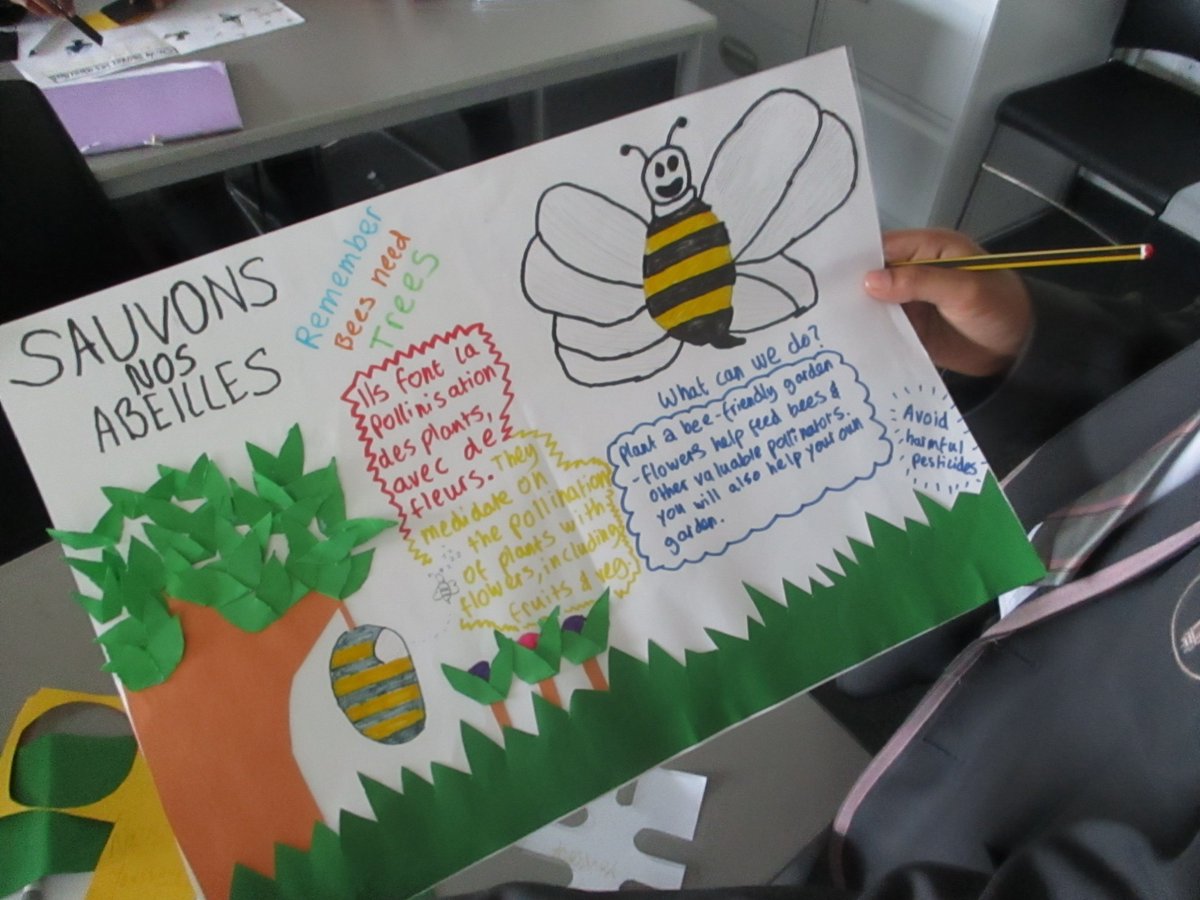 StPaulsWayTrust's tweet photo. Excellent work shared with us by the languages department! Year 8 working on a project about the importance of protecting bees and raising awareness about global warming and environment pollution. 

#french #languages #international #MFL #environment #education https://t.co/AfWMwXxjFy