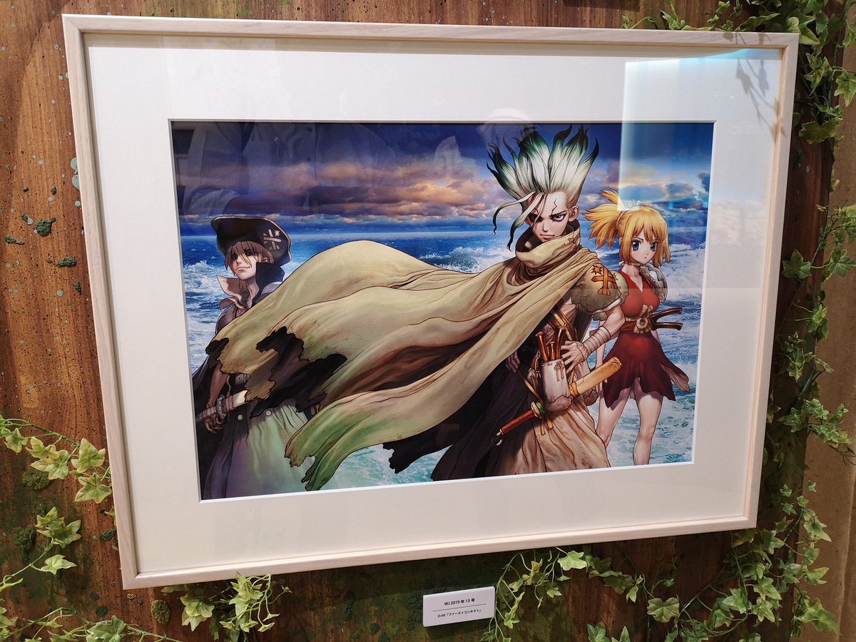 詰替え Dr.STONE 複製原画 | www.tegdarco.com