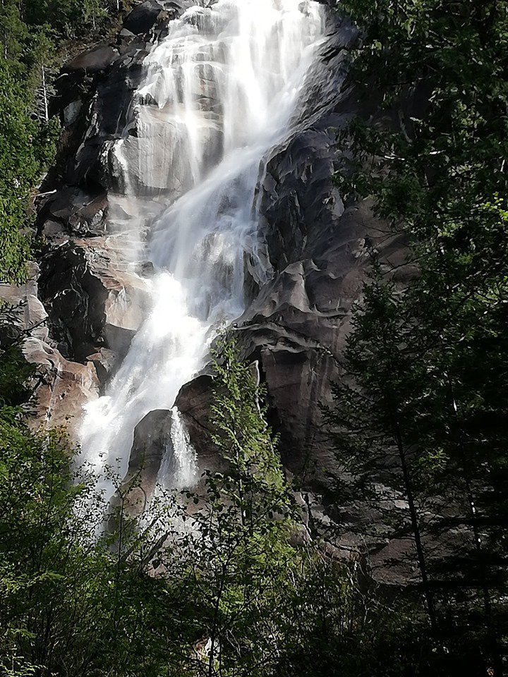 Walter@Russell (@walterr70877770) on Twitter photo 