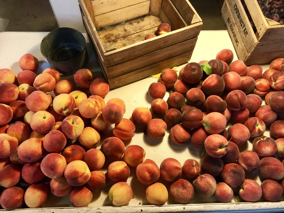 PennMarket's tweet photo. We know it’s hot, but we are open, and with free parking onsite Penn Market makes it I breeze to shop an go. Open Friday and Saturday https://t.co/cPMfJXU3b5