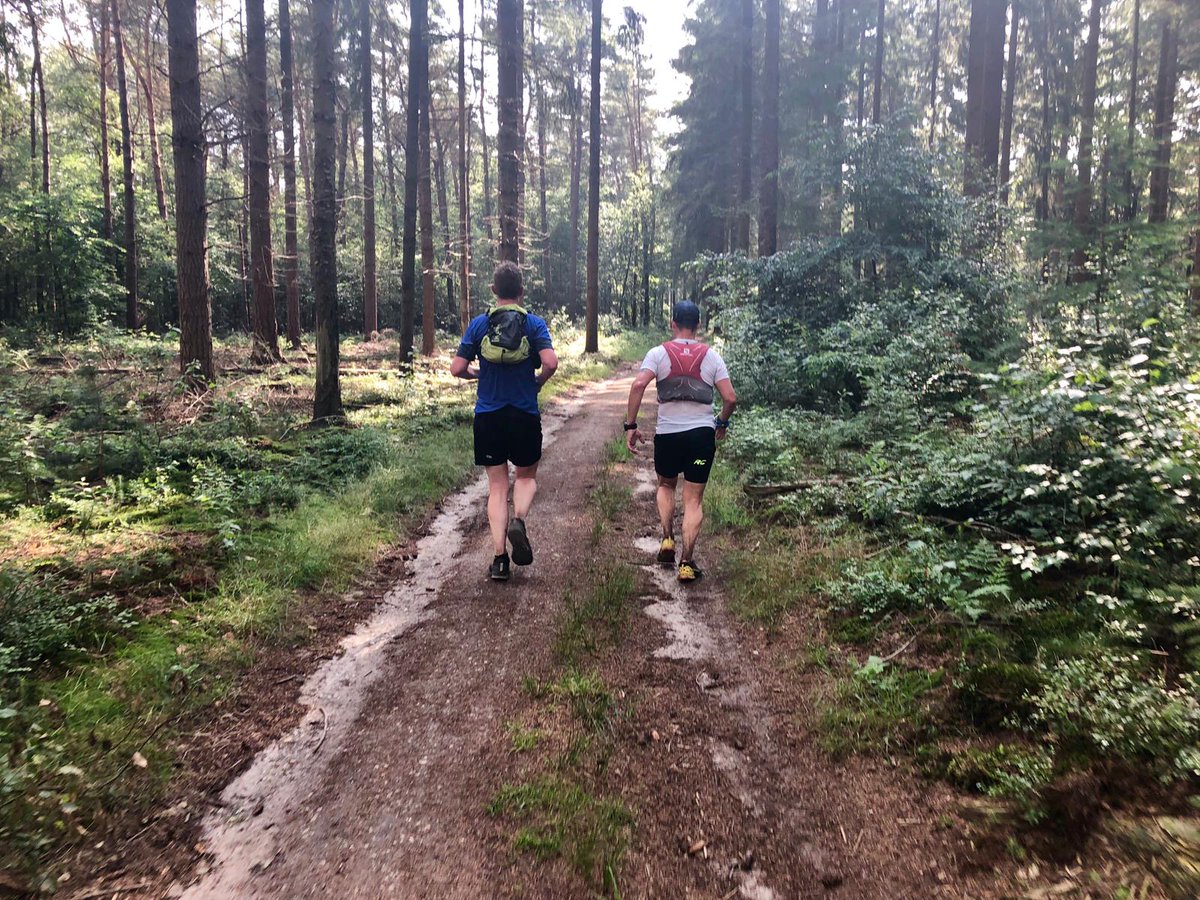 vangestelmark's tweet photo. Mooie ochtendloop met gids @Uilekiek ruim 22km over de Veluwe π²π¦ππ» #trailrunning #trainrunachieve #cairnadventures https://t.co/qBP0u3E54g