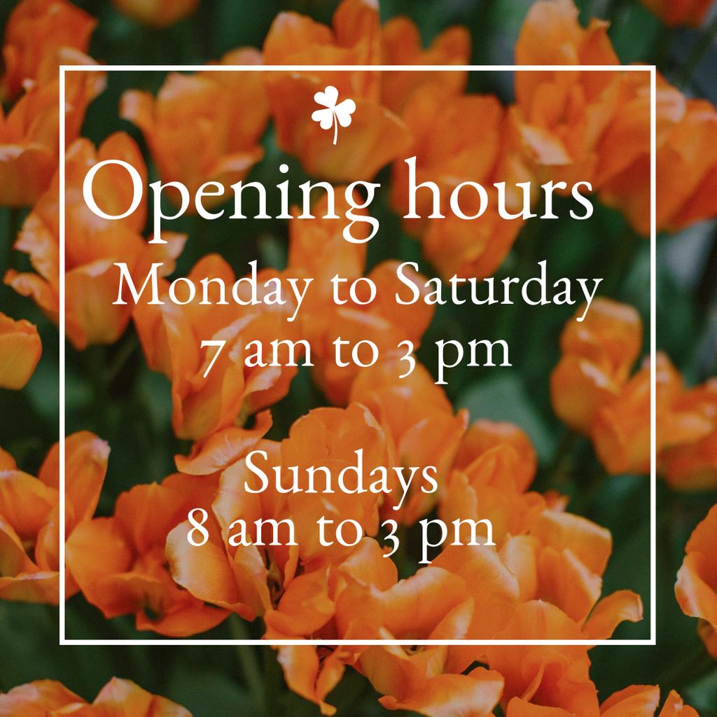 ToastLunch's tweet photo. This is just a friendly reminder of our hours, so you can plan your day and have a tasty breakfast or lunch at our place in Sherwood Park.😃🧡😋

Toast Breakfast &amp; Lunch Sherwood Park

#ToastBL #yeg #yegfood #shpk #sherwoodpark #shpkfood https://t.co/HRNzs4wC78