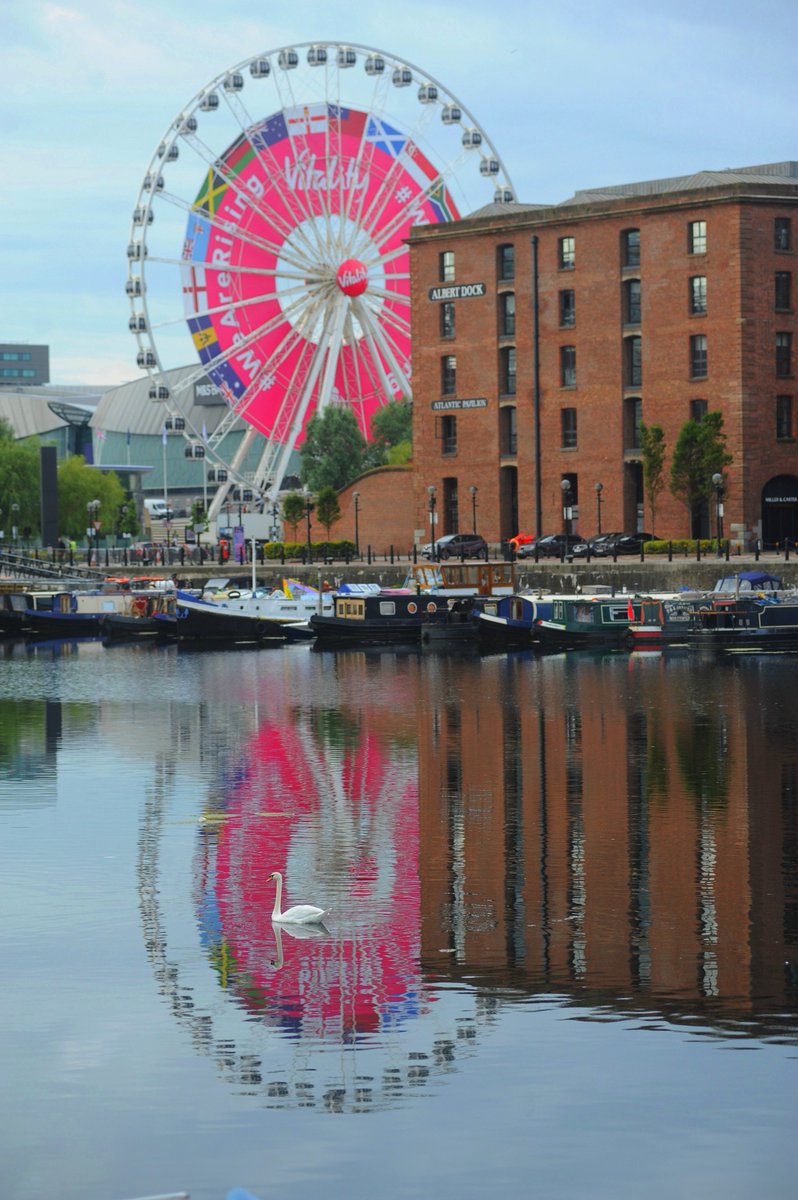 CultureLPool's tweet photo. #NetballWorldCup | Thanks to @DaveThePapLpool for these photos of the @Vitality_UK @NetballWorldCup branded #LiverpoolWheel - we think the city + @theAlbertDock looks rather stunning don't you agree? 🤩 #ThisIsNetball https://t.co/012GAow8pH