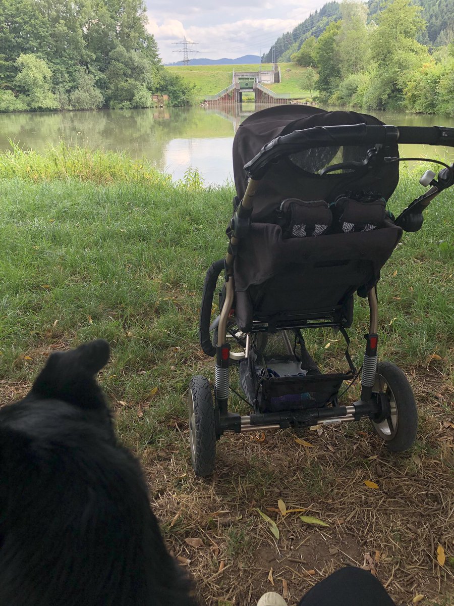 frl_b's tweet image. Kurze Pause. #Lieblingsort #Kinzigtal #Schwarzwald