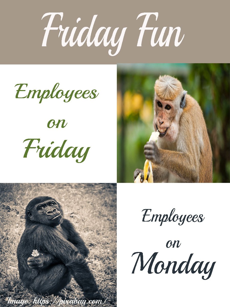 _zoomwebmedia's tweet photo. FRIDAY FUN, Wishing you all a happy weekend. #fridayfun #funfriday https://t.co/mH4q28VrrA