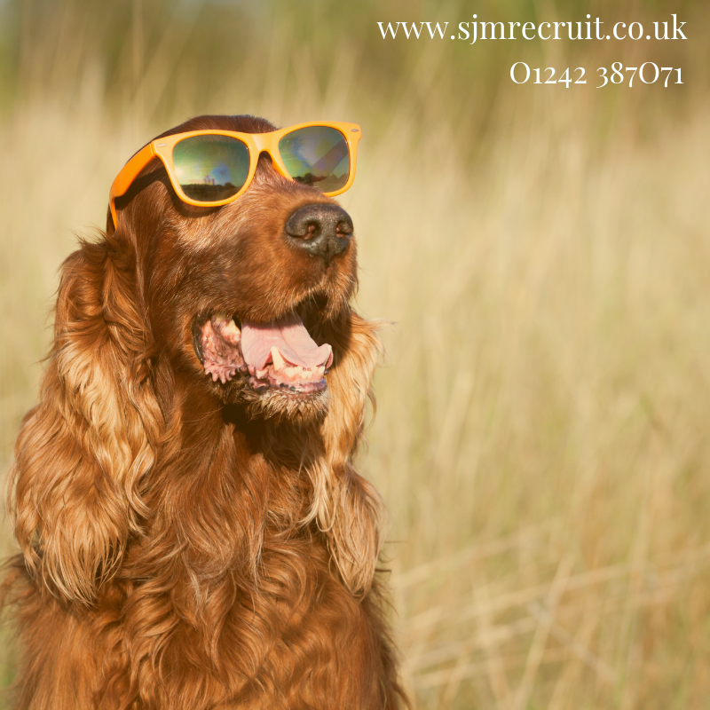 #FRIDAYFEELING 💃

Have a fantastic Friday everyone! 😎

#Recruitment #JobSeekers #Gloucestershire