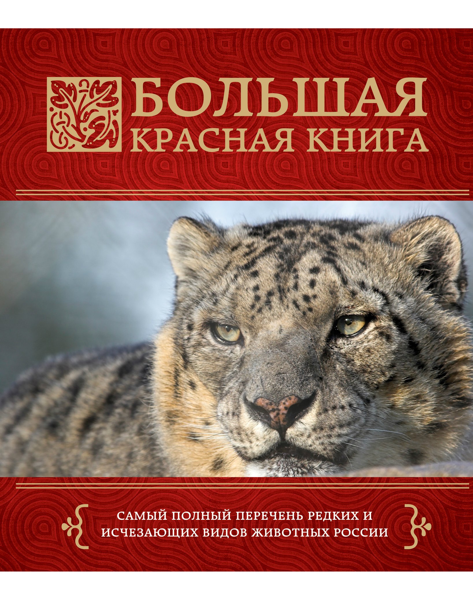 Открытки с животными из красной книги, смешные картинки