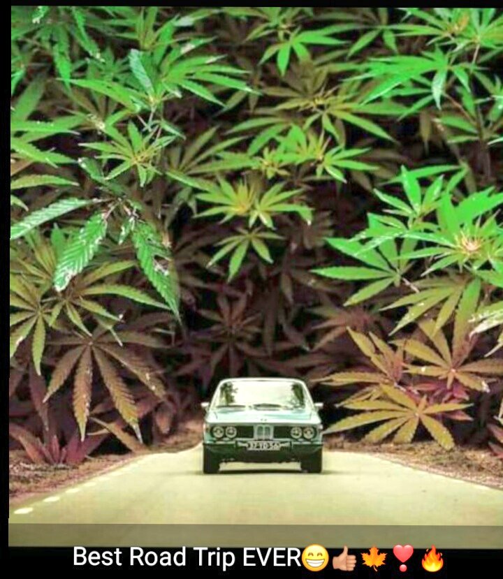 Mr_idonShow's tweet photo. This Would be the best Road trip ever
SHOUT OUT TO MY NIQQAS ON DOPE PAGES
@everythingziggy
@tha_bissboi
@DaREAL_ZAMANi
@TijaniTyt
@DDLM15
@iyoung_lord
#OkNoProblem
DROPPING ON SOON https://t.co/bDUlPgREsX