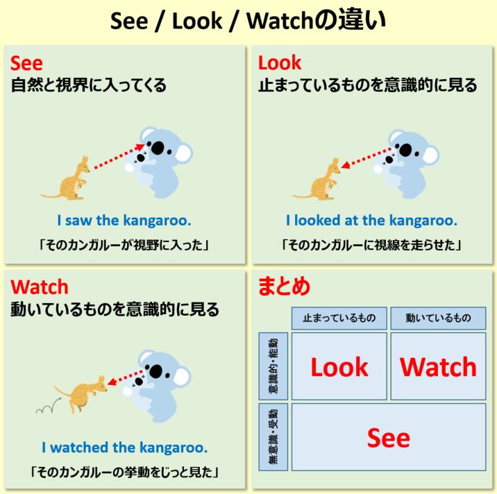 こあたん こあらの学校 See Look Watchの違い