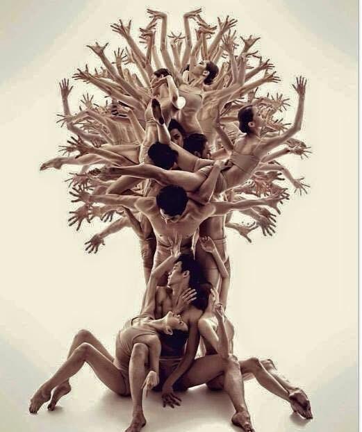 Deze menselijke boom staat symbool voor het resultaat van WISH3: verbondenheid, kracht en creativiteit. 
Laat uw medewerkers, uw organisatie en de omgeving floreren door WISH3
#WISH3 #eigenkracht #duurzameinzetbaarheid #creativiteit #sociaalondernemerschap #impact #wensboom