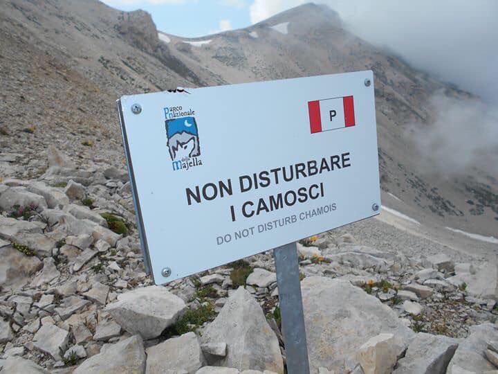 caifvg's tweet photo. Trasferta abruzzese nel Parco Nazionale della Majella per il #Cai #ValNatisone. Alcune immagini dell'escursione di inizio luglio sul Monte Amaro (2793 m), in un ambiente di straordinaria biodiversità.
Tutte le 📸 https://t.co/J3I5quzyUY https://t.co/BnnDRHncNU