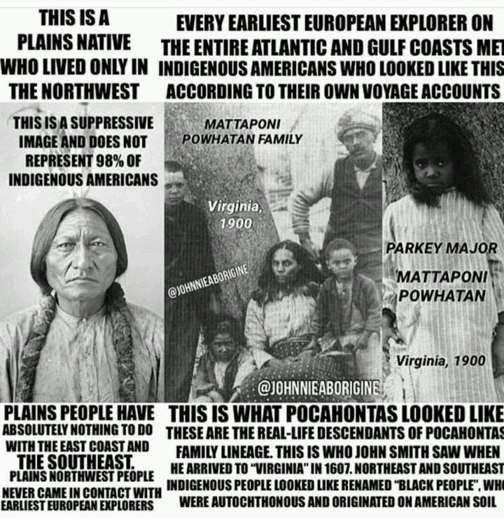 CopperCherokee's tweet photo. @WITN #SendThemAllBackThen #IndigenousTruth In fact of the matter no one has a right to tell anyone to get out of the Americas except it's "lindigenous peoples since I fit that profile "Lumbee black Cherokee and UNHIDDEN history abounds proving WE welcomed 1st Europeans, y'all can stay https://t.co/2HcJm4F1mv