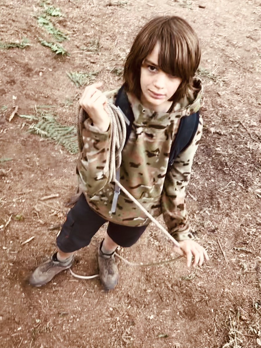 David Watkins tweet media