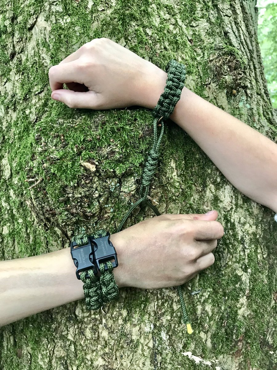 David Watkins tweet media