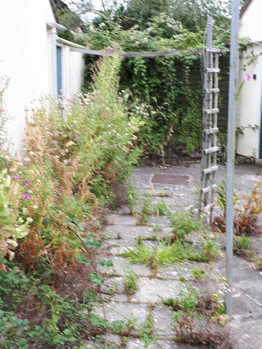 HiSSueK1's tweet photo. Tenants  at Churchlands really happy with the space cleared by Clean Surroundings this week
Before.......&amp; After #GoTeamHis https://t.co/BL2w06YHd1