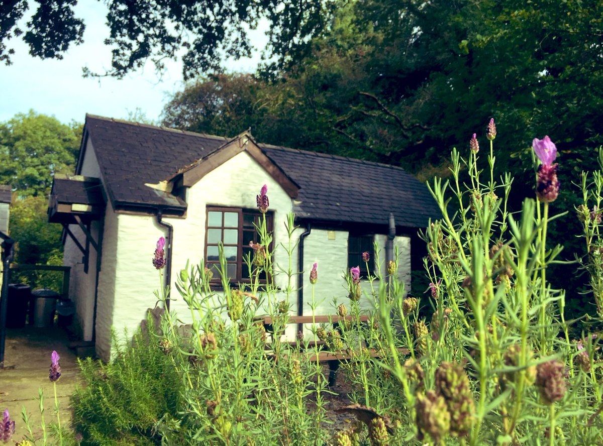 oaktreecwtch's tweet photo. We 💚 5 star reviews! 
 
‘’This is a really special place – never experienced anything like it for abundance of nature &amp; variety of habitats. Thank u v much for being so disability friendly – this has made me feel like everyone else – able to go anywhere on my mobility scooter!’’ https://t.co/GN19g366lV