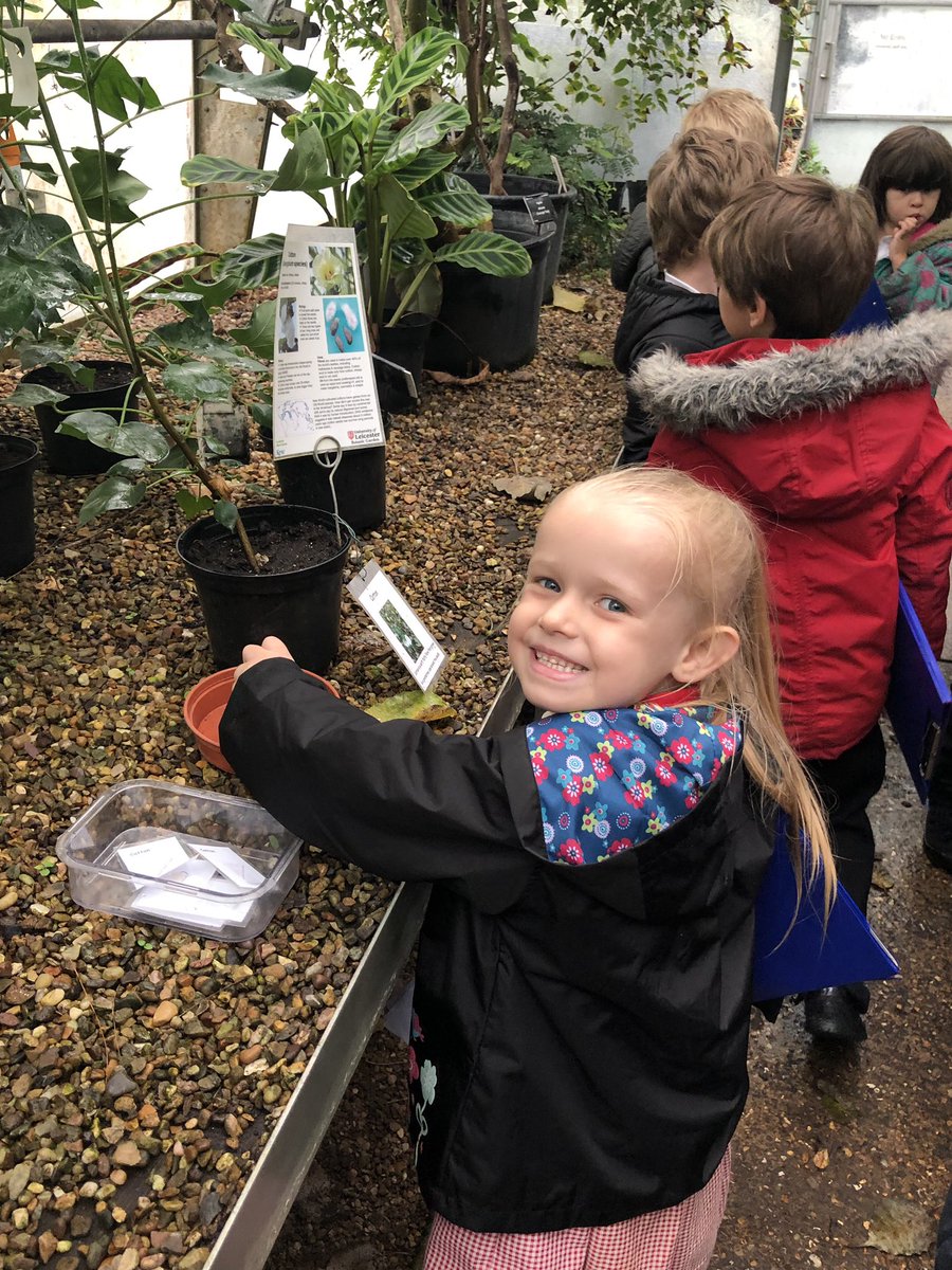 greenfieldsps's tweet photo. Year 1 made it to Leicester Botanical Gardens today. We are having a fab time learning about herbs, tropical plants and even plants from the desert. Off to the woods after lunch! :) @GreenfieldsKS1 #plantswow #coreknowledgecurriculum https://t.co/S1Akur2qGT
