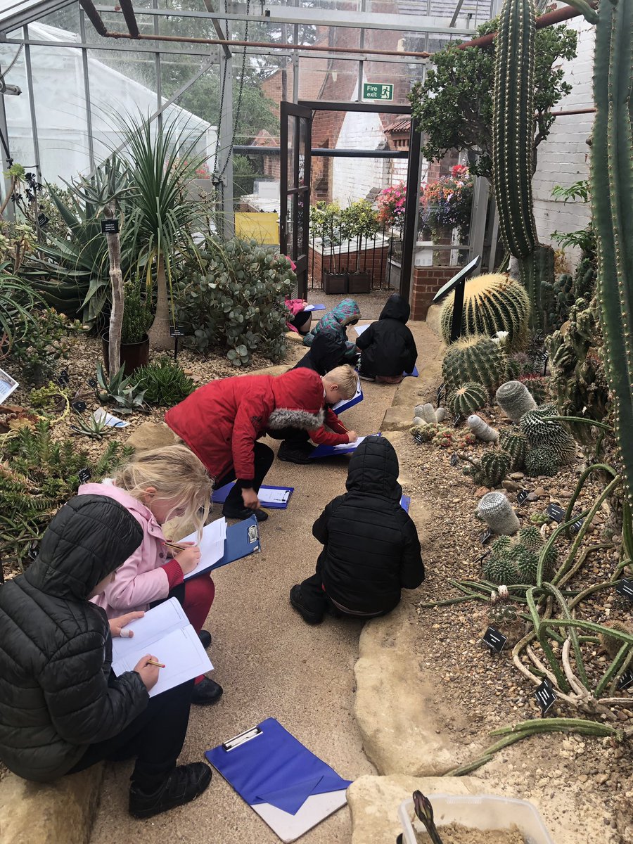 greenfieldsps's tweet photo. Year 1 made it to Leicester Botanical Gardens today. We are having a fab time learning about herbs, tropical plants and even plants from the desert. Off to the woods after lunch! :) @GreenfieldsKS1 #plantswow #coreknowledgecurriculum https://t.co/S1Akur2qGT