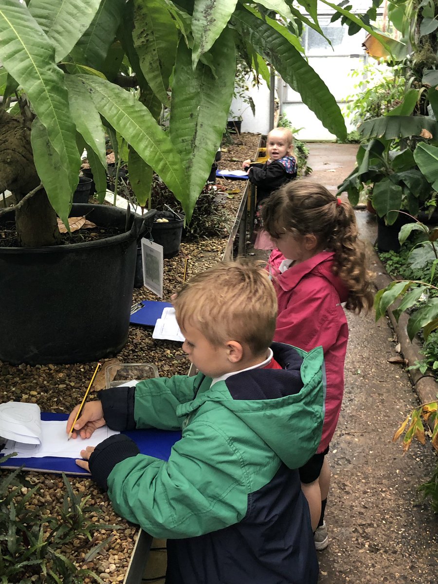 greenfieldsps's tweet photo. Year 1 made it to Leicester Botanical Gardens today. We are having a fab time learning about herbs, tropical plants and even plants from the desert. Off to the woods after lunch! :) @GreenfieldsKS1 #plantswow #coreknowledgecurriculum https://t.co/S1Akur2qGT