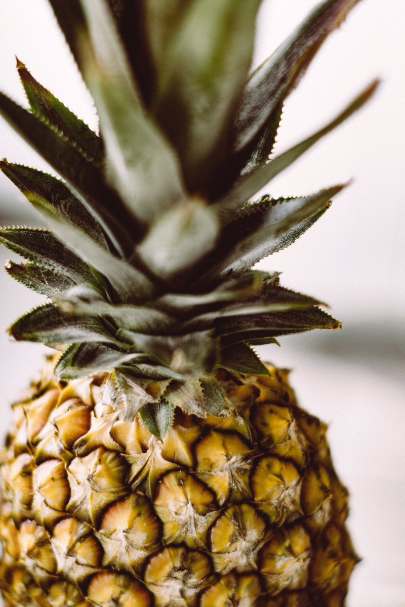 Pineapples can last for long summer days without spoiling. It only becomes sweeter, making it the perfect summer fruit. What are your tips for the summer? #SummerTips #Marajo #summer #tour #holiday #Health #Island #amazon #Brazil #beach #beachlife #healthtips