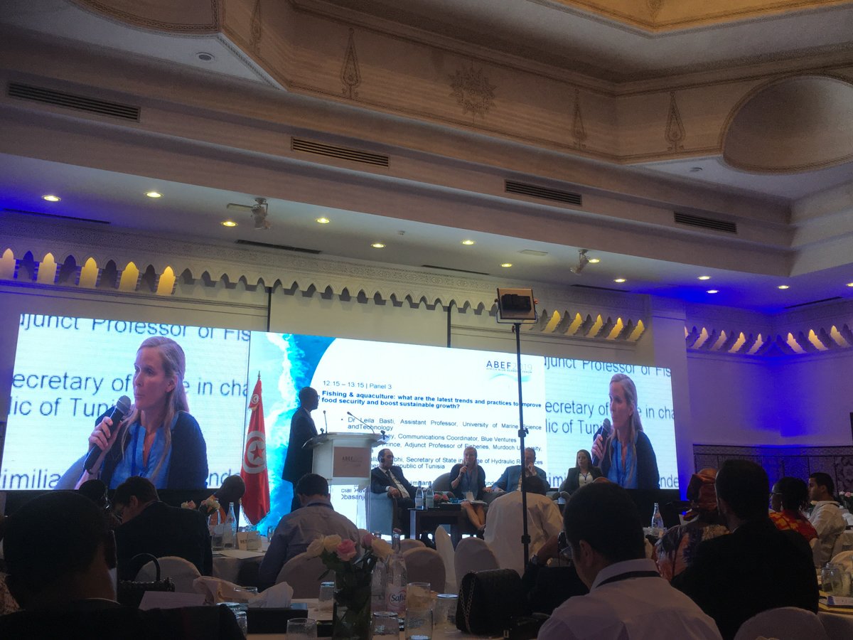 BlueVentures's tweet photo. Blue Ventures was represented by @Africas_Sawfish at #ABEF2019 last month. In discussions about the #BlueEconomy it is vital to give #SmallScaleFisheries a voice, and to recognise the importance of locally led fisheries management. @africablueeco https://t.co/f7iKQQptuv