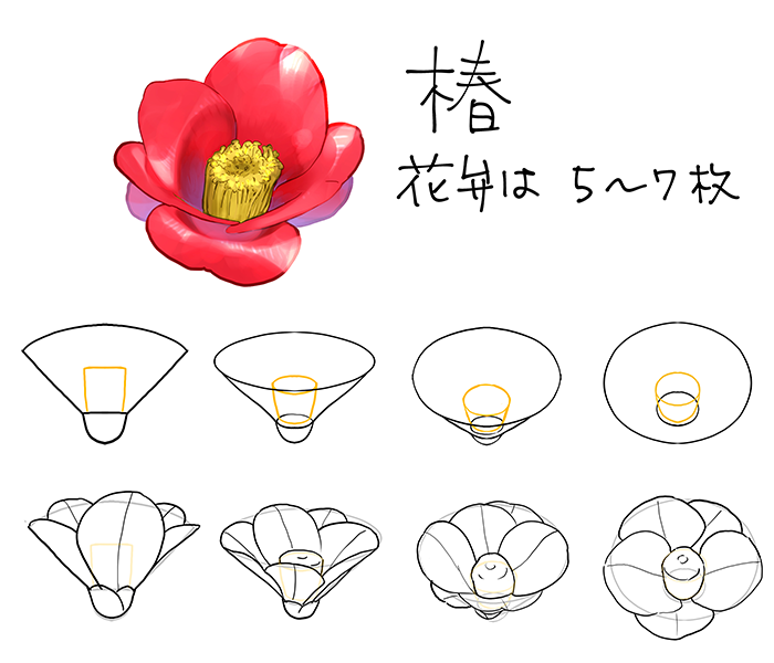 いちあっぷ By Mugenup クリエイティブ制作会社 花弁から背景に使える樹木の描き方まで 花の形の捉え方を中心に紹介しています 和の花 植物の描き方4選 椿 乙女椿 紫陽花 桜 いちあっぷ T Co Zmcikldant 絵が上手くなる記事はコレ