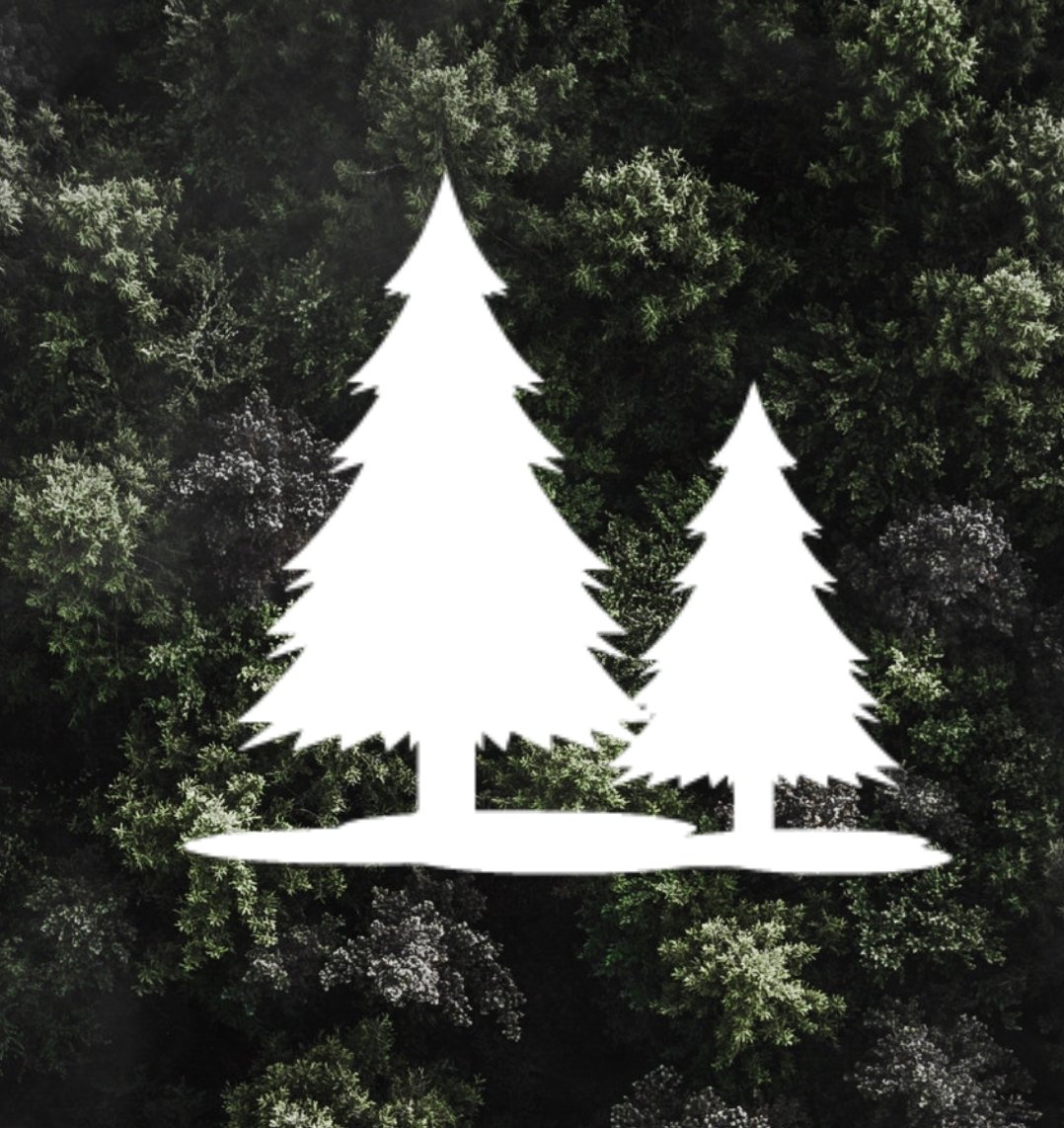FakeCoinExpert's tweet photo. RTB and I wanted to create a fun challenge to raise XRP for XRPTree. If we raise 1000 XRP to @XRP4Charity (ran by @RTB_Dutchy) by july 26th, I will bike 50 miles on camera in honor of the XRPTree project. All funds will be sent to @WanderingWare on July 27th to XRP Tree ❤🌲 https://t.co/7tT8ns95zL