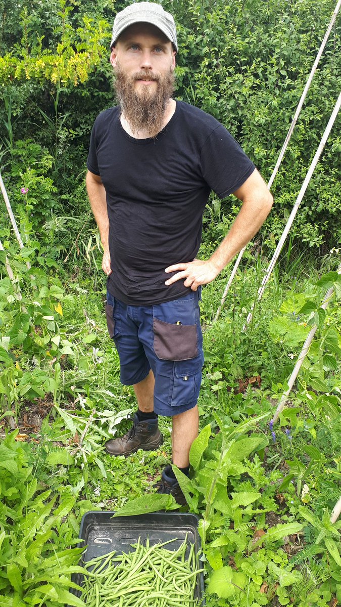 WA_Stads3hoek's tweet photo. In mijn nieuwe wijk ontdekte ik de #Vredestuin. Tuin is gelegen aan de #pompenburg Verse bonen uit eigen tuin. https://t.co/Xm94wIQkhw