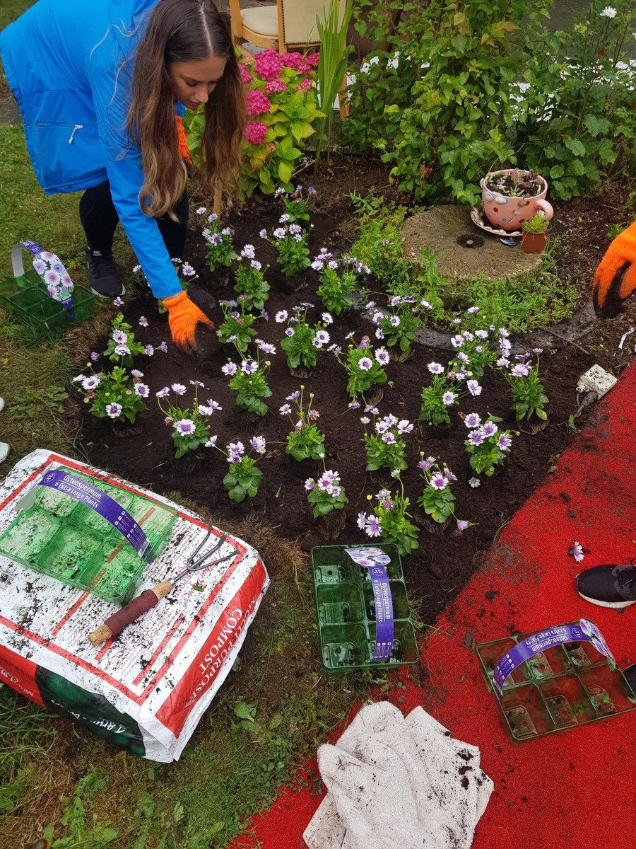 stanleyjean89's tweet photo. Our @AskKBCIreland volunteers busy gardening as part of #teambluegoesgreen at our charity partner @alzheimersocirl Curlew Road Day Care Centre #doingdifferent #lifeatKBC #teambluegoesgreen https://t.co/XtLIUD2srW