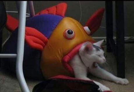 activateflight's tweet image. 