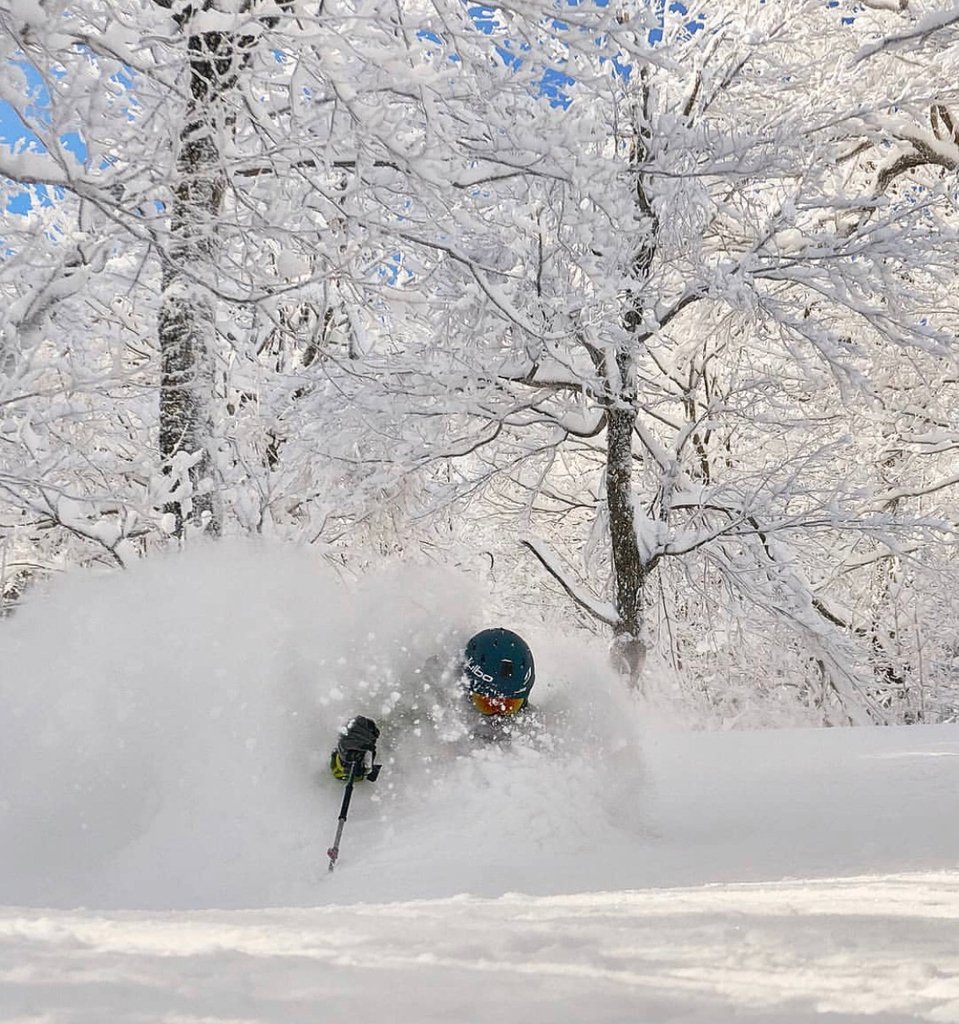 SKITHEEAST's tweet photo. Diving DEEP into this winters archives... who else misses that mid wintah cold? ❄️🐦 
⛷️ @cbrunner9 📷 @airandrice 
#SkiTheEast #BornFromIce #KeepTheShredAlive https://t.co/y0p3UwZAwK