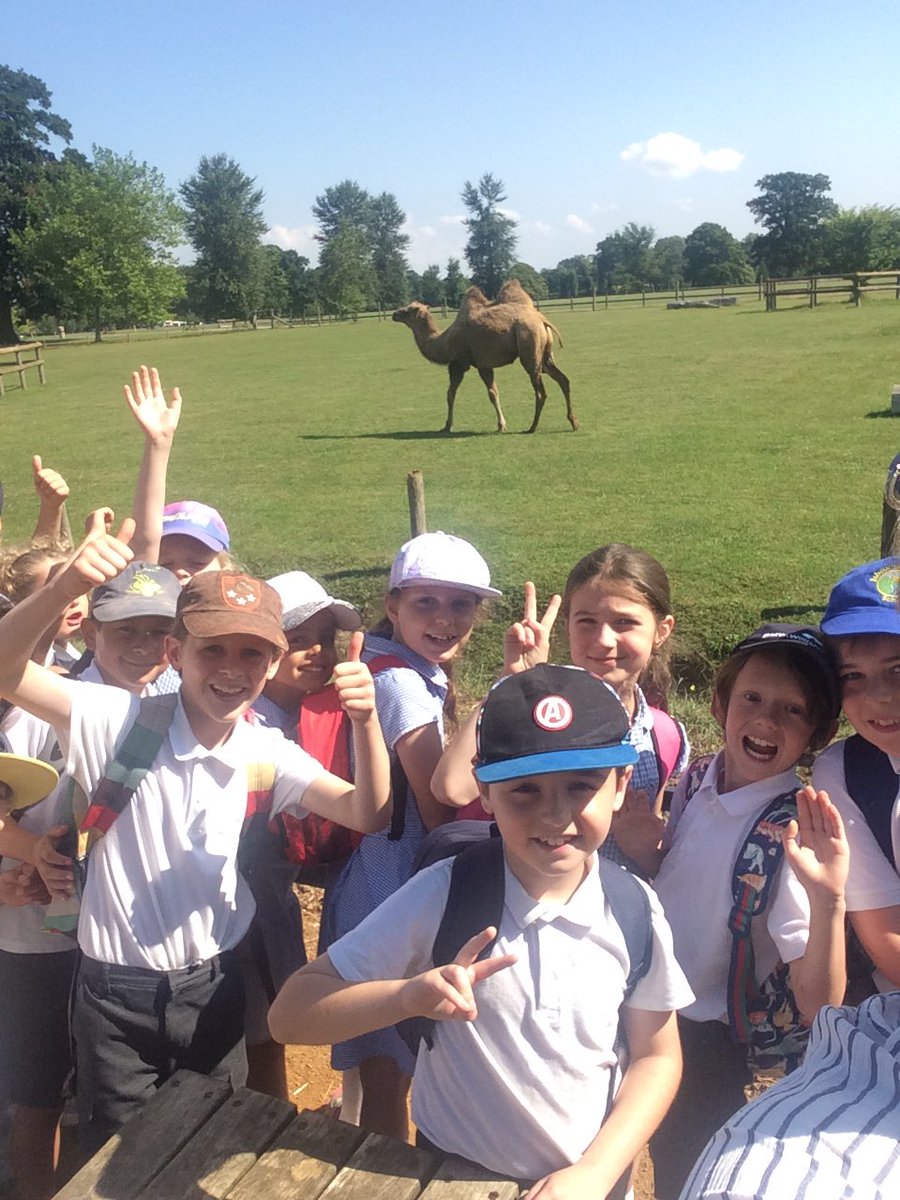 IVSchool's tweet photo. Windrush loving the wildlife park. #teamwindrush https://t.co/HxTaPKFewg