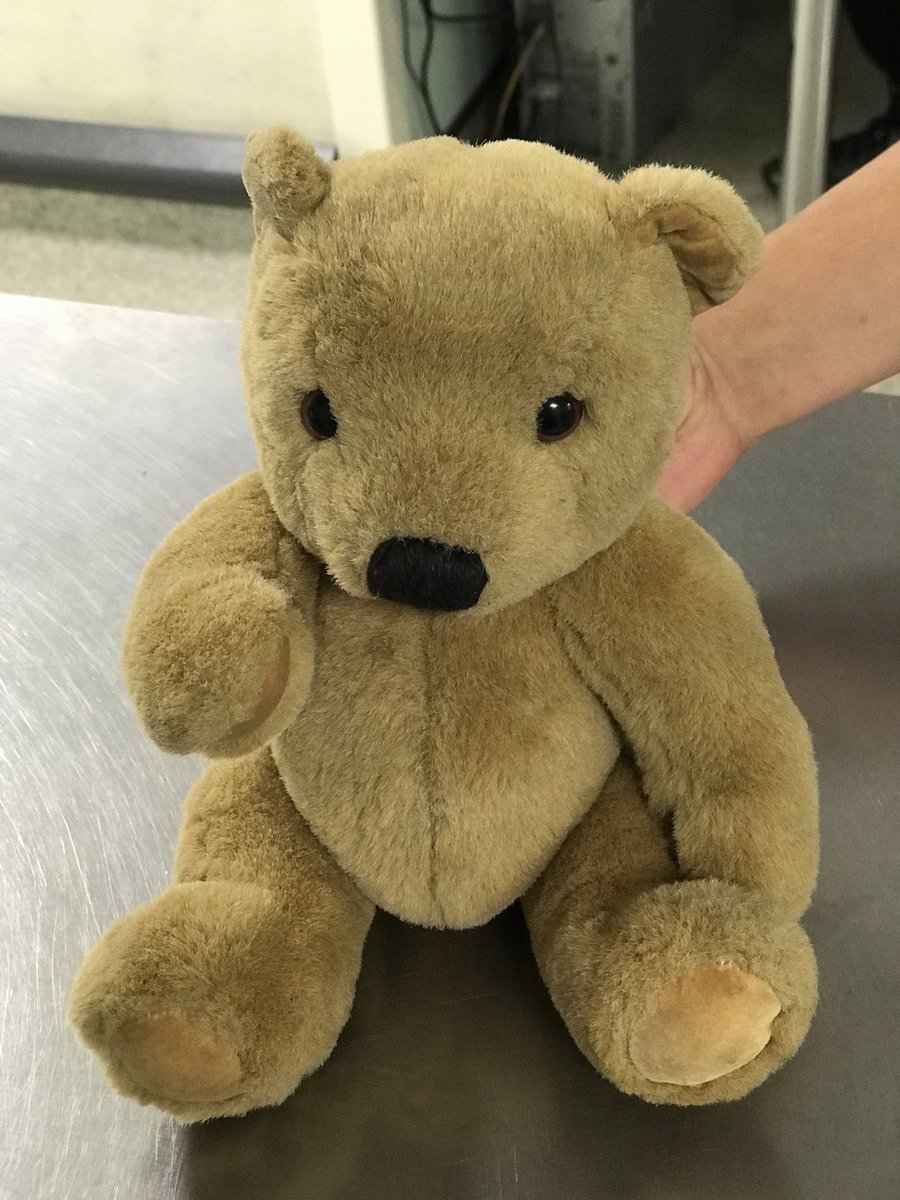 RossiterMelissa's tweet photo. I’m lost! I was left behind in the Emergency Unit at University Hospital of Wales, please help find my way home 🙏 @CAVUHB @cardiff_EU https://t.co/WNuMo9NzXg